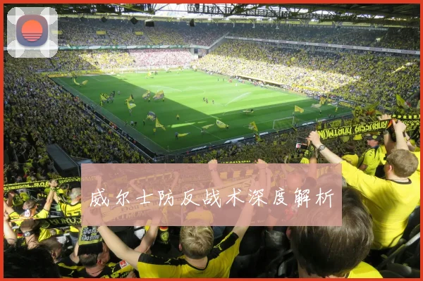 威尔士防反战术深度解析