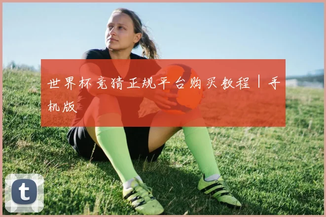 世界杯竞猜正规平台购买教程｜手机版
