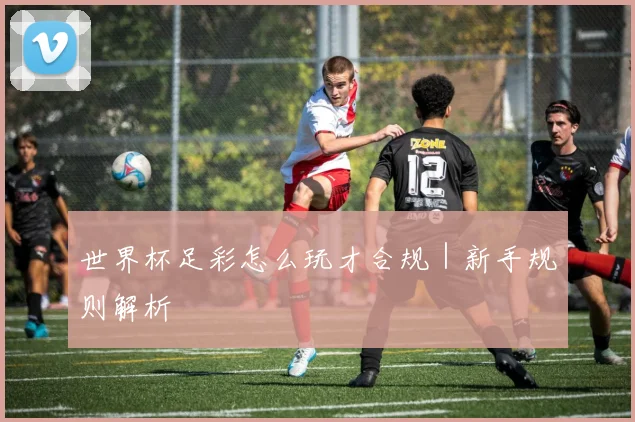 世界杯足彩怎么玩才合规｜新手规则解析