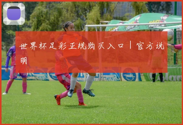 世界杯足彩正规购买入口｜官方说明
